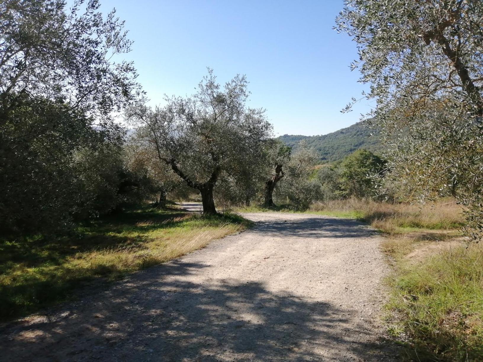Вилла I Casali Di Colle San Paolo Tavernelle  Экстерьер фото