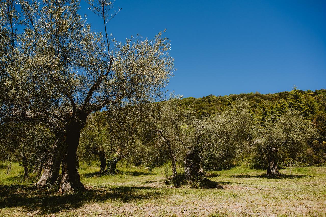 Вилла I Casali Di Colle San Paolo Tavernelle  Экстерьер фото